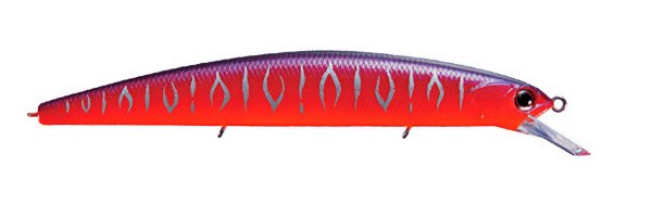 rudra130Sp.jpeg rudra130Sp.jpeg