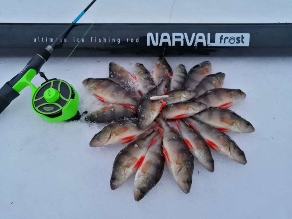 удочка1.jpg удочка1.jpg